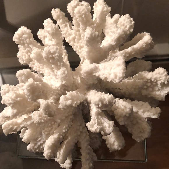 Meet your Posher, Lisa - Picture 1 of 1